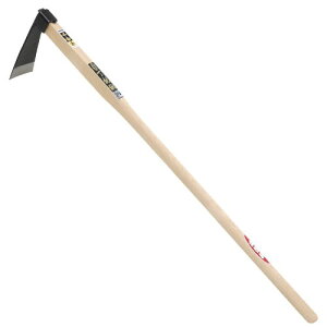 g  \L N  yÂ  kN n  y