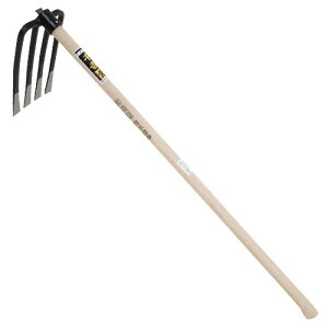 g  Z^l{L o` 3.5VN N  yÂ  kN n  y 