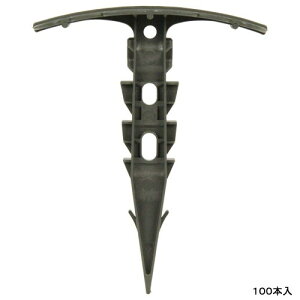 ZteB-3 }` 100P hV[g }` rj[}` Œ тȂ