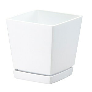 }g NG`[|bg Mt6 1.4L zCg ChA|bg |vs v^[ |