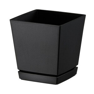 }g NG`[|bg Mt6 1.4L ubN ChA|bg |vs v^[ |