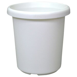 AbvEFA[ F^ 8SE zCg Aؔ  ꌊ\ ʐǂ ʋCǂ ^Cv