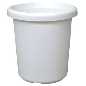 AbvEFA[ F^ 12SE zCg Aؔ  ꌊ\ ʐǂ ʋCǂ ^Cv