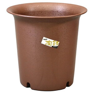 AbvEFA[  [^ 8SE Gr` Aؔ ꌊ\ ʐǂ ʋCǂ