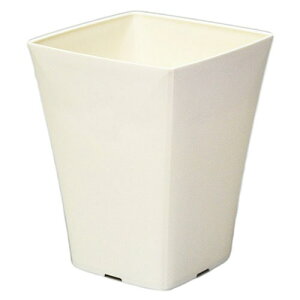 AbvEFA[ OVA|bg 245K^ zCg Vv IV ChA| K[fjO ϗtA   CeA  ֗ v[g