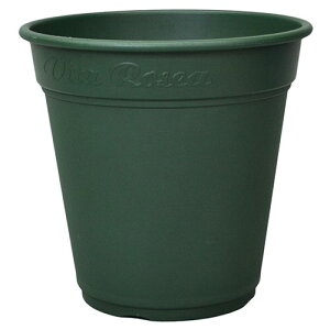 AbvEFA[ [A|bg 380K^ O[ ʐ ʋC  CeA ֗ K[fjO v[g  񂹐A IV ϗtA