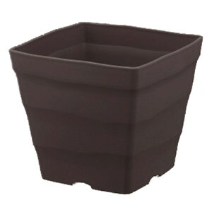 AbvEFA[ NtgXNGA 25K^ DuE 芴 El ChA|  ϗtA IV K[fjO ֗ v[g Vv CeA 񂹐A v^[