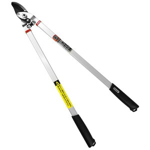J}L } L-81 ֐n} y  } 70cm oCpX^Cv A~pCvgp