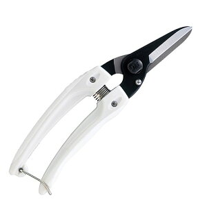 AX | t@~[ubN 140B  t[AWg  |  nT~ ͂