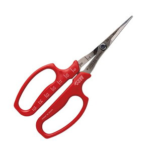 AX ԂǂE \n(BP) 321DX-M-BP uhEp nT~ ͂ n 悪ׂ