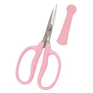 `J}T t[Xg AWfBI CRI-160SP t[AWg ƒ؉  ʕ  n XeX nT~ ͂