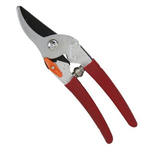 T{e v^Cv NO.1255  Kтɂ \tgObv