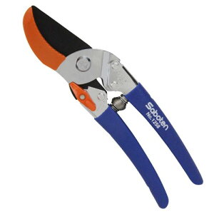 T{e Ar^R No.1258  ʎ Kтɂ