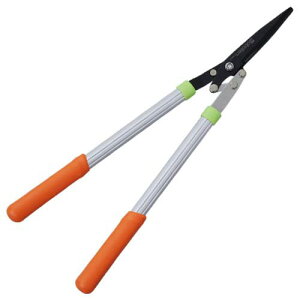 T{e y  NO.1510 }  Kтɋ y؂ꖡ