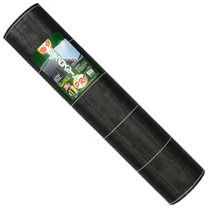 {}^C ͖hNXV[gPRO 1x100m N G΍ V[g  ԏ 󂫒n