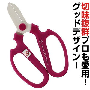 ⌹ nhNG[V F170 oCIbg tbfH Trɋ nP[Xt ϋvQ y jo[TfUC