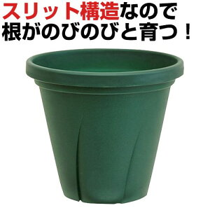 }g ͂蔫 8 4.8L _[NO[ Aؔ Xbg\ |