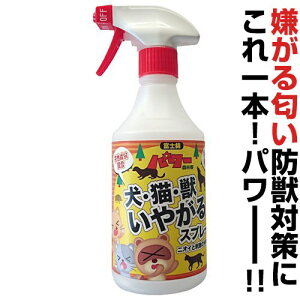 R_} ELEb₪Xv[ 500ml L悯 悯 ₳ 和  Ԓd v^[ Ԍ [ }[LO\h N\h