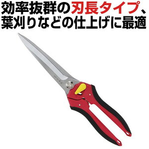 g On| SSP-23 t }؂ d ͂ nT~ n