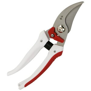 g ₷؂₷ SGP-59  ͂ | K[fjO