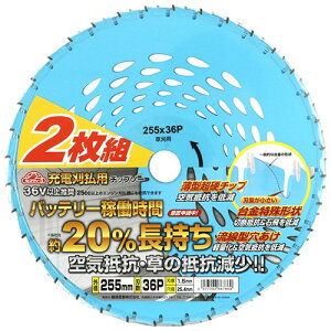 �Z�t�e�B-3 �[�d�����p�`�b�v�\�[2���g 255X36P ���� ������ ���� �[�d 2���g