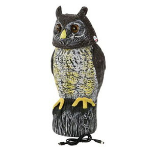 ZteB|3 pjbNӂ낤2 ɗpS STYF-4 Q h 悯 