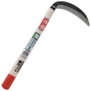 g Аn p 165MM 芙 p ؂ꖡQ _炩 Y  