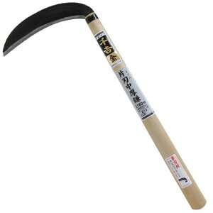 g  Аn {nt 180MM ؂ꖡQ d  芙 Y  