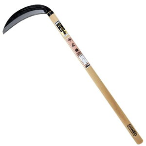 g  ЍL 195MM ؂ꖡQ d  芙 Y  