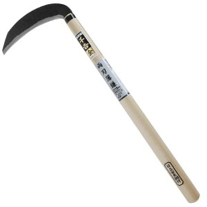 g  n 210MM ؂ꖡQ   _炩 芙 Y  