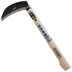 g  n p^ 150MM ؂ꖡQ 芙 } G؁E} Y