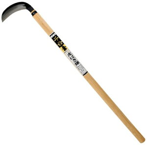 g  ͂ ؂ꖡQ ؊ ͂p |tn Y