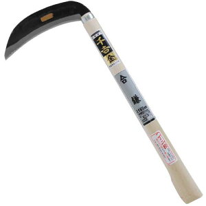 g   165MM ؂ꖡQ _炩 d ƊyX  n Y  