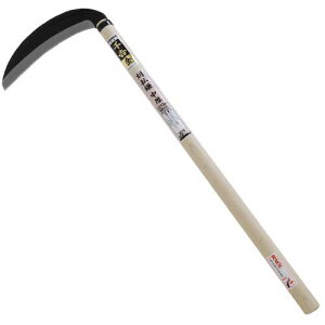 g    pxt 210MM ؂ꖡQ 芙 ^Cv d Y