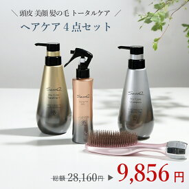 【 公式 エスハートエス 】 ビジュリー ヘアケア4点セット スカルプブラシ シャンプーブラシ ローラーブラシ Sasso プロケアシャンプー プロケアトリートメント ボリュームミスト プロ仕様 育毛 ボリュームアップ 美容室 サロン ヘアケア ダメージケア 枝毛