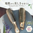 スカルプブラシ【公式 エスハートエス】シャンプーブラシ ワールドプレミアム ショート ロング 1年保証付き shearts エスハートエス ヘアブラシ ブラシ マッサージブラシ お風呂 頭皮ケア 艶髪 サラサラ 誕生日 母の日 プレゼント ギフト
