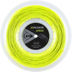 y25̓|Cg10{z _bv DUNLOP ejX ejX XgO |GXen mtBg GNXvbVuEXs[h 240m DST12021 300