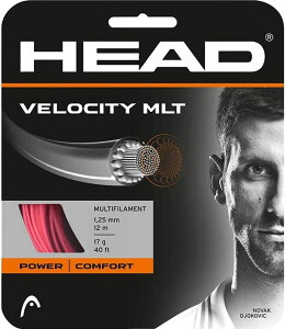 �y15���̓|�C���g15�{�z �w�b�h HEAD �e�j�X VELOCITY MLT �x���V�e�B�E�}���` �e�j�X �X�g�����O �K�b�g 281404 PK