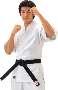 y320MAX3,000~OFFN[|&P15{z NTN KUSAKURA tRS-2R8NCS2 iZ  wZ ̈  g[jO K m  K jq q R8NCS2