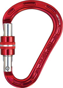 y420|Cg15{z bNeNX rocteryx AEghA HMSfRXN[ Jri ^ NC~O  c[ pi AMG13111N RED