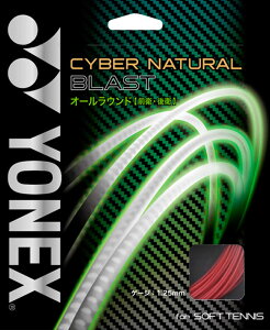 y10̓|Cg10{z lbNX YONEX ejX TCo[i`uXg Kbg XgO iC \tgejXKbg ejXKbg I[Eh Oq q FAiC  