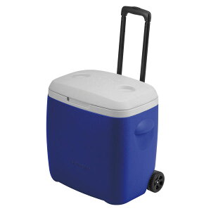 y30̓|Cg10{z LveX^bO CAPTAIN STAG AEghA K[h zC[N[[{bNX28L u[ M-5281 28L  ۗ h  `[ e L[^Cv MǑ΍ ^