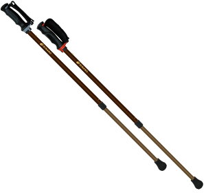 y30E1̓|Cg10{z Vim SINANO 񂵂2{ uE Ήg127-181cm EH[LO|[  ]|\h ӂ\h  nr 650192