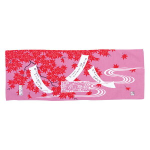 y1320|CgAbvz N[rbg coolbit ₵ oe[k ԍgt p ⊴  ʂ ^I X|[c O g ^ JԂgp\ MǑ΍ {yY 