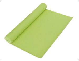 y30̓|Cg10{z [V EuroSCHIRM K}bg STT169