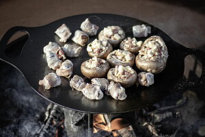 y30E1̓|Cg10{z yg}bNX Petromax AEghA t@C[{E fs-38 12668