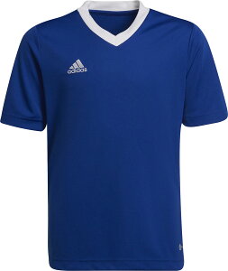 y25̓|Cg10{z AfB_X adidas TbJ[ Entrada 22 W[W[ TVc gbvX qǂ LbY WjA TbJ[EFA K ړ ւ g[jO ؃g  N