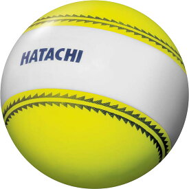 【スーパーセール期間中 MAX4,000円OFFクーポン】 ハタチ HATACHI ナビゲーションボール BH3851 45