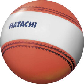 【スーパーセール期間中 MAX4,000円OFFクーポン】 ハタチ HATACHI ナビゲーションボール BH3851 54