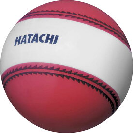 【スーパーセール期間中 MAX4,000円OFFクーポン】 ハタチ HATACHI ナビゲーションボール BH3851 62